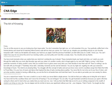 Tablet Screenshot of cnaedge.com
